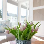 Suite-5 Apartment *