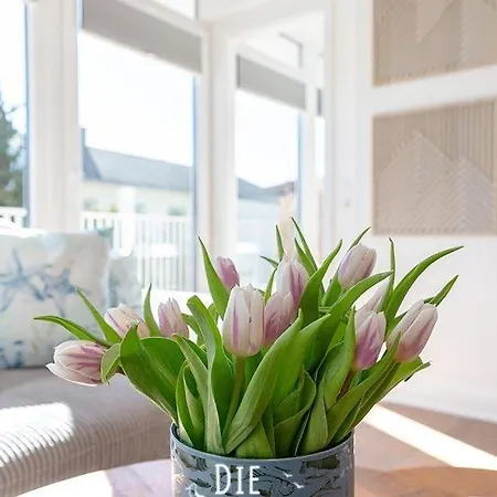 Suite-5 Apartman *