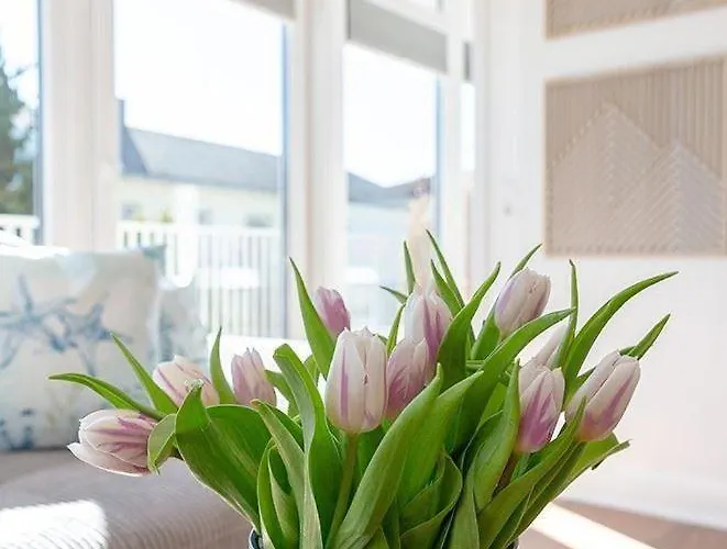 Suite-5 Appartamento *